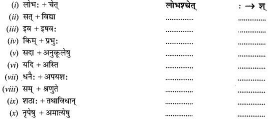 NCERT Solutions for Class 12 Sanskrit Chapter 6 सुधामुचः वाचः Q3