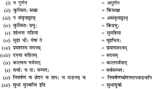 NCERT Solutions for Class 12 Sanskrit Chapter 6 सुधामुचः वाचः Q4.1