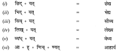 NCERT Solutions for Class 12 Sanskrit Chapter 8 आश्चर्यमयं विज्ञानजगत् Q4.1