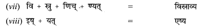 NCERT Solutions for Class 12 Sanskrit Chapter 8 आश्चर्यमयं विज्ञानजगत् Q4.2
