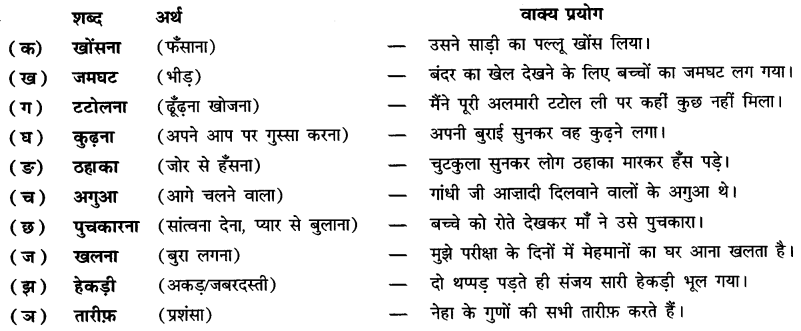 NCERT Solutions for Class 6 Hindi Chapter 9 टिकट अलबम Q1