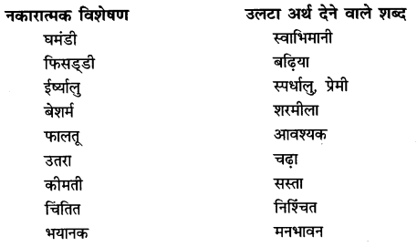 NCERT Solutions for Class 6 Hindi Chapter 9 टिकट अलबम Q2