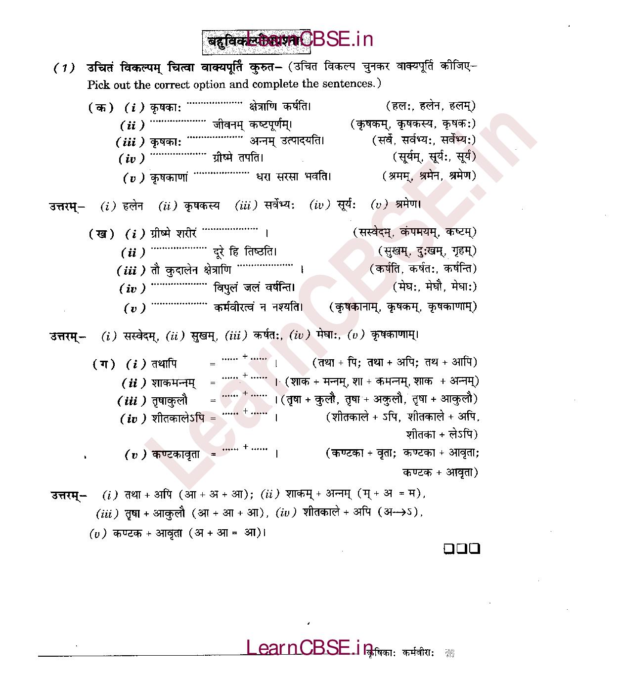 NCERT Solutions for Class 6 Sanskrit Chapter 10 कृषिकाः कर्मवीरः 7