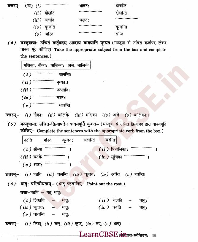 NCERT Solutions for Class 6 Sanskrit Chapter 2 - आकारान्त - स्त्रीलिंग 10