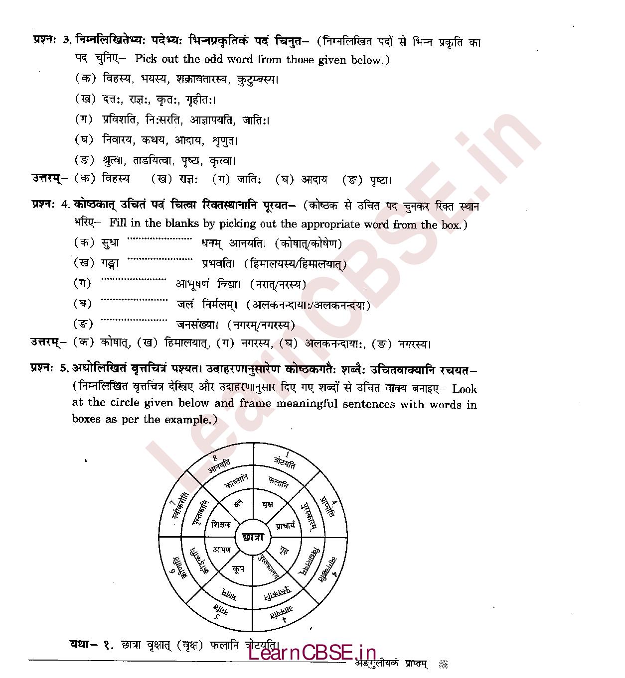 NCERT Solutions for Class 6 Sanskrit Chapter 9 अडगुलीयकं प्राप्तम् 5