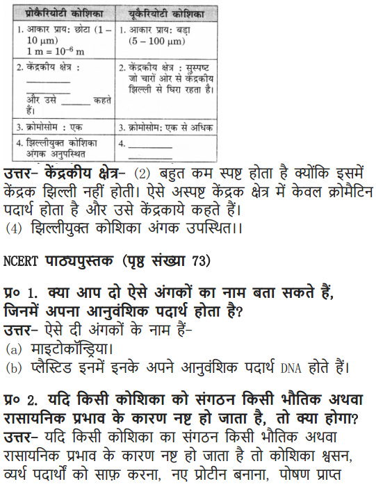 NCERT Solutions for Class 9 Science Chapter 5 The Fundamental Unit of Life Hindi Medium 3