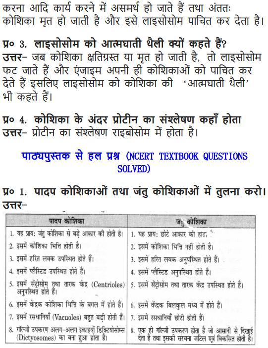 NCERT Solutions for Class 9 Science Chapter 5 The Fundamental Unit of Life Hindi Medium 4