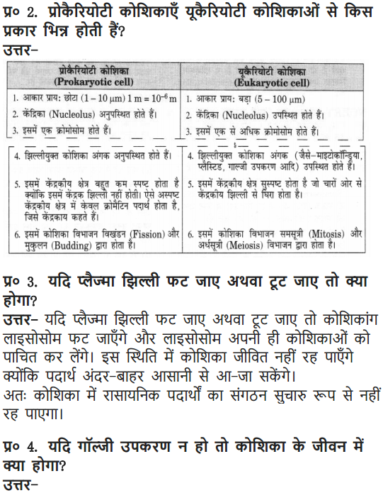 NCERT Solutions for Class 9 Science Chapter 5 The Fundamental Unit of Life Hindi Medium 5