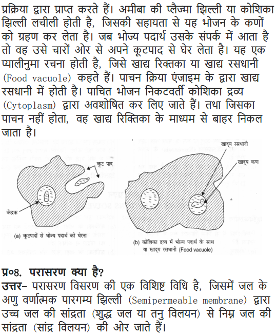 NCERT Solutions for Class 9 Science Chapter 5 The Fundamental Unit of Life Hindi Medium 7