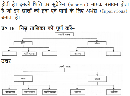 NCERT Solutions for Class 9 Science Chapter 6 Tissues Hindi Medium 10