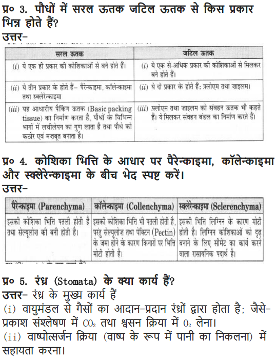 NCERT Solutions for Class 9 Science Chapter 6 Tissues Hindi Medium 5