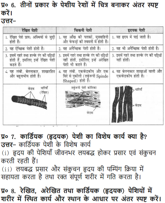 NCERT Solutions for Class 9 Science Chapter 6 Tissues Hindi Medium 6