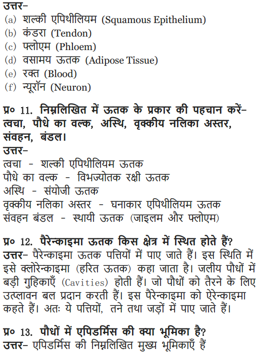 NCERT Solutions for Class 9 Science Chapter 6 Tissues Hindi Medium 8