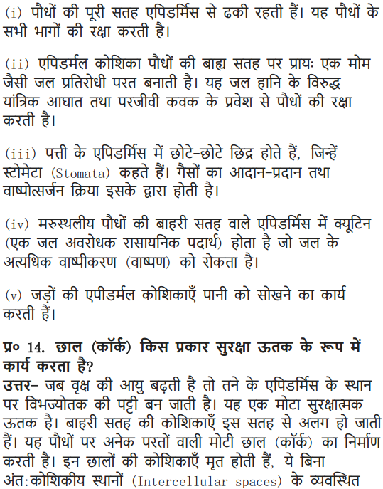NCERT Solutions for Class 9 Science Chapter 6 Tissues Hindi Medium 9