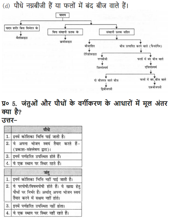 NCERT Solutions for Class 9 Science Chapter 7 Diversity in Living Organisms Hindi Medium 12