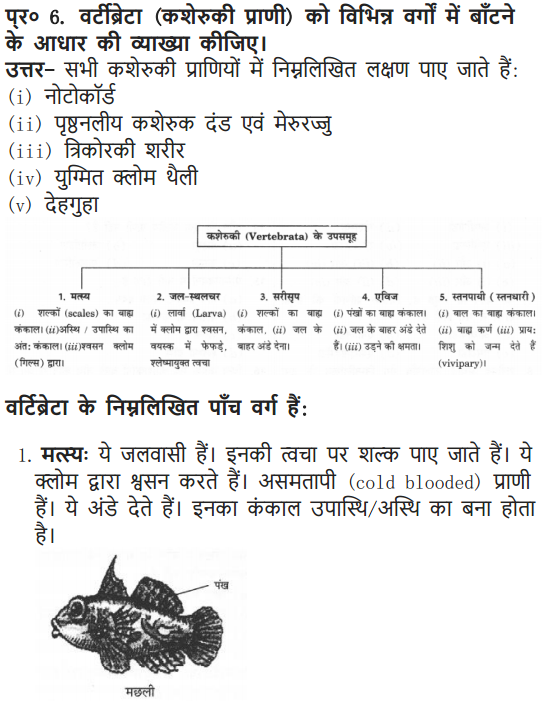 NCERT Solutions for Class 9 Science Chapter 7 Diversity in Living Organisms Hindi Medium 13