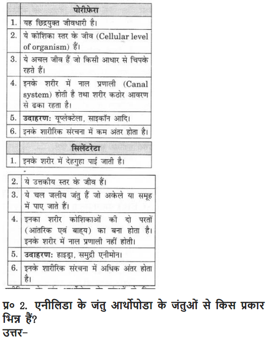 NCERT Solutions for Class 9 Science Chapter 7 Diversity in Living Organisms Hindi Medium 6