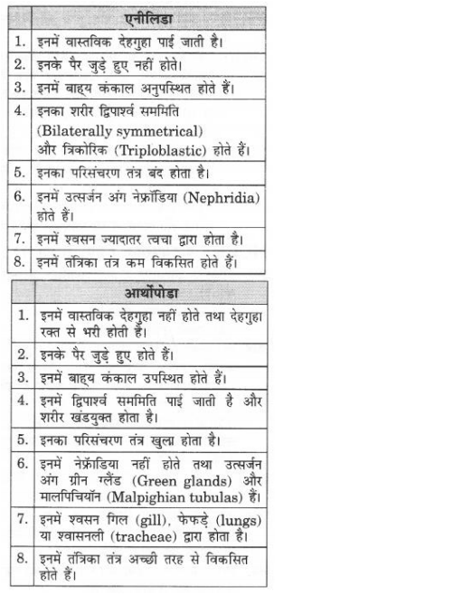 NCERT Solutions for Class 9 Science Chapter 7 Diversity in Living Organisms Hindi Medium 7