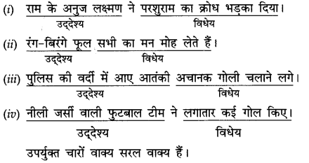 CBSE Class 10 Hindi A व्याकरण वाक्य-भेद 2