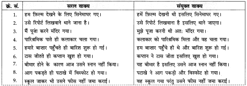 CBSE Class 10 Hindi A व्याकरण वाक्य-भेद 4