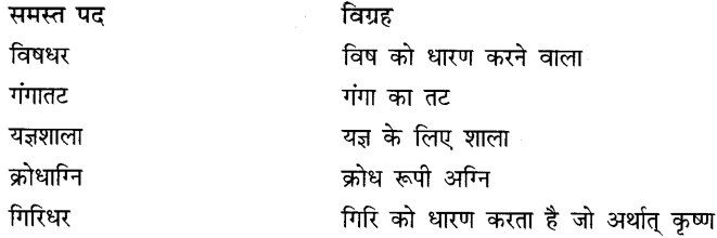 CBSE Class 10 Hindi B व्याकरण समास 1