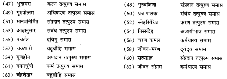 CBSE Class 10 Hindi B व्याकरण समास 23