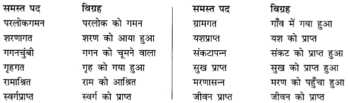 CBSE Class 10 Hindi B व्याकरण समास 4