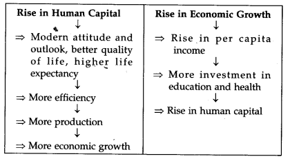 Human Capital Formation in India NCERT Solutions for Class 11 Indian Economic Development Q15