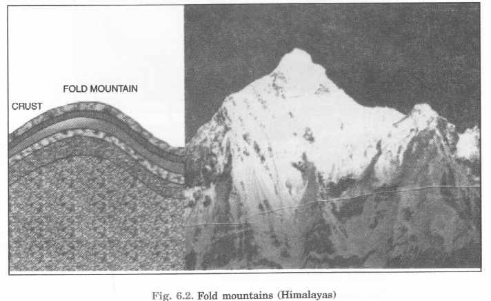 Major Landforms of the Earth Class 6 Extra Questions Geography Chapter 6 L - Q1