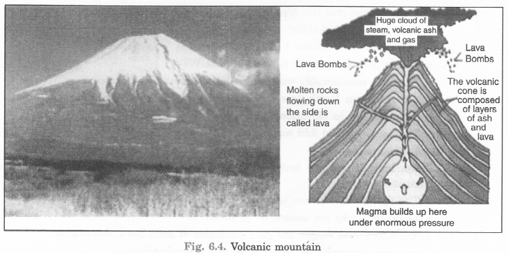 Major Landforms of the Earth Class 6 Extra Questions Geography Chapter 6 L - Q1(ii)