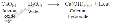 NCERT Exemplar Class 10 Science Chapter 1 Chemical Reactions And Equations 5