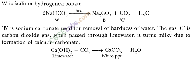 NCERT Exemplar Class 10 Science Chapter 2 Acids, Bases And Salts 3