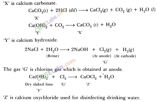 NCERT Exemplar Class 10 Science Chapter 2 Acids, Bases And Salts 5
