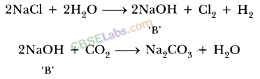 NCERT Exemplar Class 10 Science Chapter 2 Acids, Bases And Salts 6
