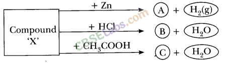 NCERT Exemplar Class 10 Science Chapter 2 Acids, Bases And Salts 7