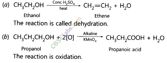 NCERT Exemplar Class 10 Science Chapter 4 Carbon and its Compounds 11