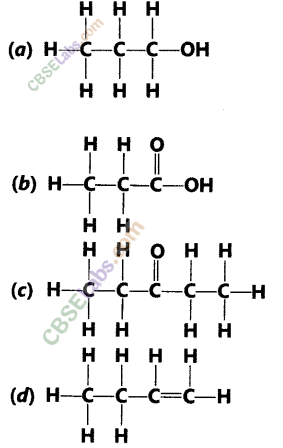 NCERT Exemplar Class 10 Science Chapter 4 Carbon and its Compounds 3