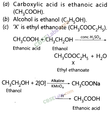 NCERT Exemplar Class 10 Science Chapter 4 Carbon and its Compounds 5