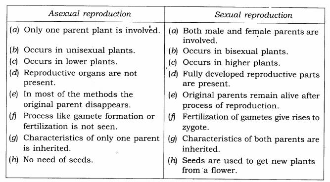 NCERT Solutions for Class 7 Science Chapter 12 Reproduction in Plants