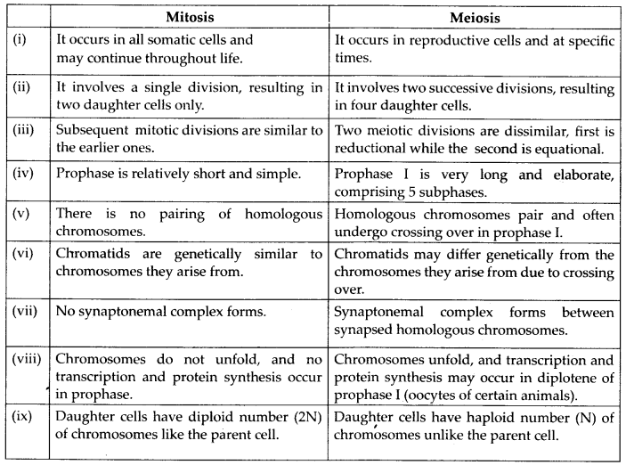 NCERT Solutions For Class 11 Biology Cell Cycle and Cell Division Q11