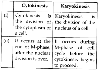 NCERT Solutions For Class 11 Biology Cell Cycle and Cell Division Q2
