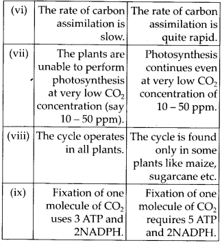 NCERT Solutions For Class 11 Biology Photosynthesis in Higher Plants Q6.1