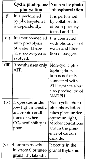 NCERT Solutions For Class 11 Biology Photosynthesis in Higher Plants Q6.2