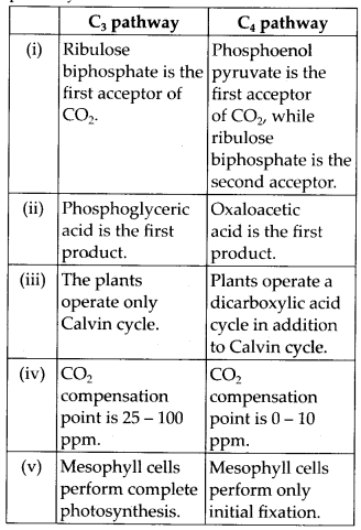 NCERT Solutions For Class 11 Biology Photosynthesis in Higher Plants Q6