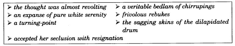 NCERT Solutions For Class 11 English Hornbill The Portrait of a Lady 3