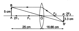 NCERT Solutions for Class 10 Science Chapter 10 Light Reflection and Refraction Chapter End Questions Q10.1