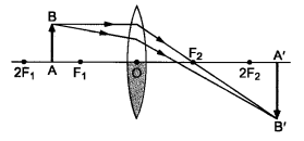 NCERT Solutions for Class 10 Science Chapter 10 Light Reflection and Refraction Chapter End Questions Q9.1