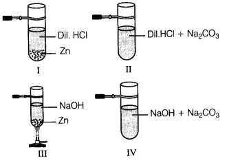 NCERT Solutions for Class 10 Science Chapter 2 Acids, Bases and Salts MCQs Q9