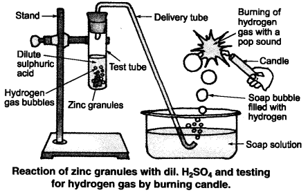 NCERT Solutions for Class 10 Science Chapter 2 Acids, Bases and Salts Page 22 Q2