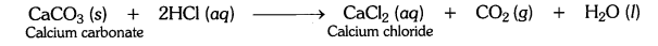 NCERT Solutions for Class 10 Science Chapter 2 Acids, Bases and Salts Page 22 Q3